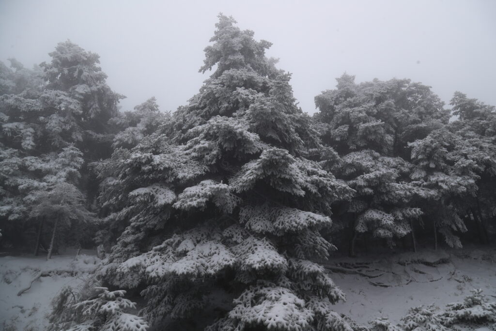 Φωτογραφία ΜΑΡΚΟΣ ΧΟΥΖΟΥΡΗΣ / 𝐄𝐔𝐑𝐎𝐊𝐈𝐍𝐈𝐒𝐒𝐈 ║ 📷 𝐛𝐲 𝐢𝐄𝐢𝐝𝐢𝐬𝐞𝐢𝐬.𝐠𝐫